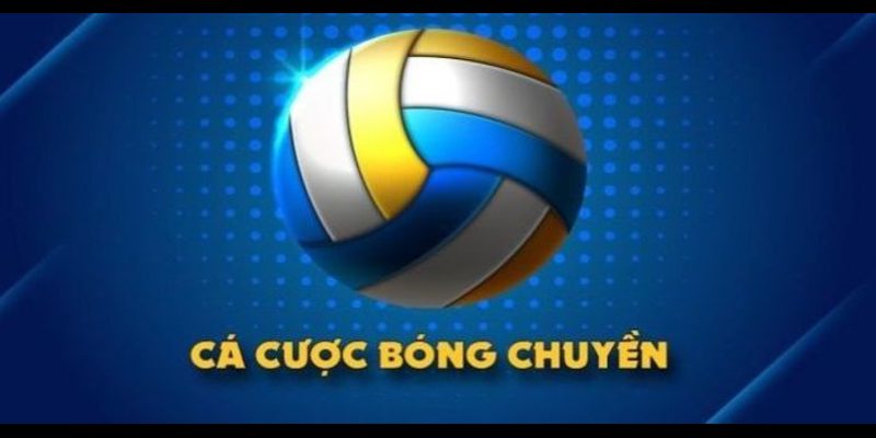 ca cuoc bong chuyen anh dai dien