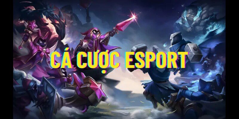 ca cuoc esports anh dai dien