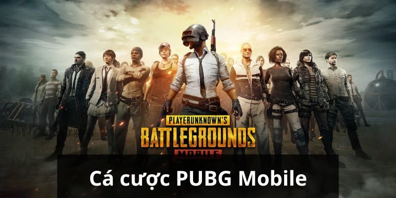 ca cuoc pubg anh dai dien